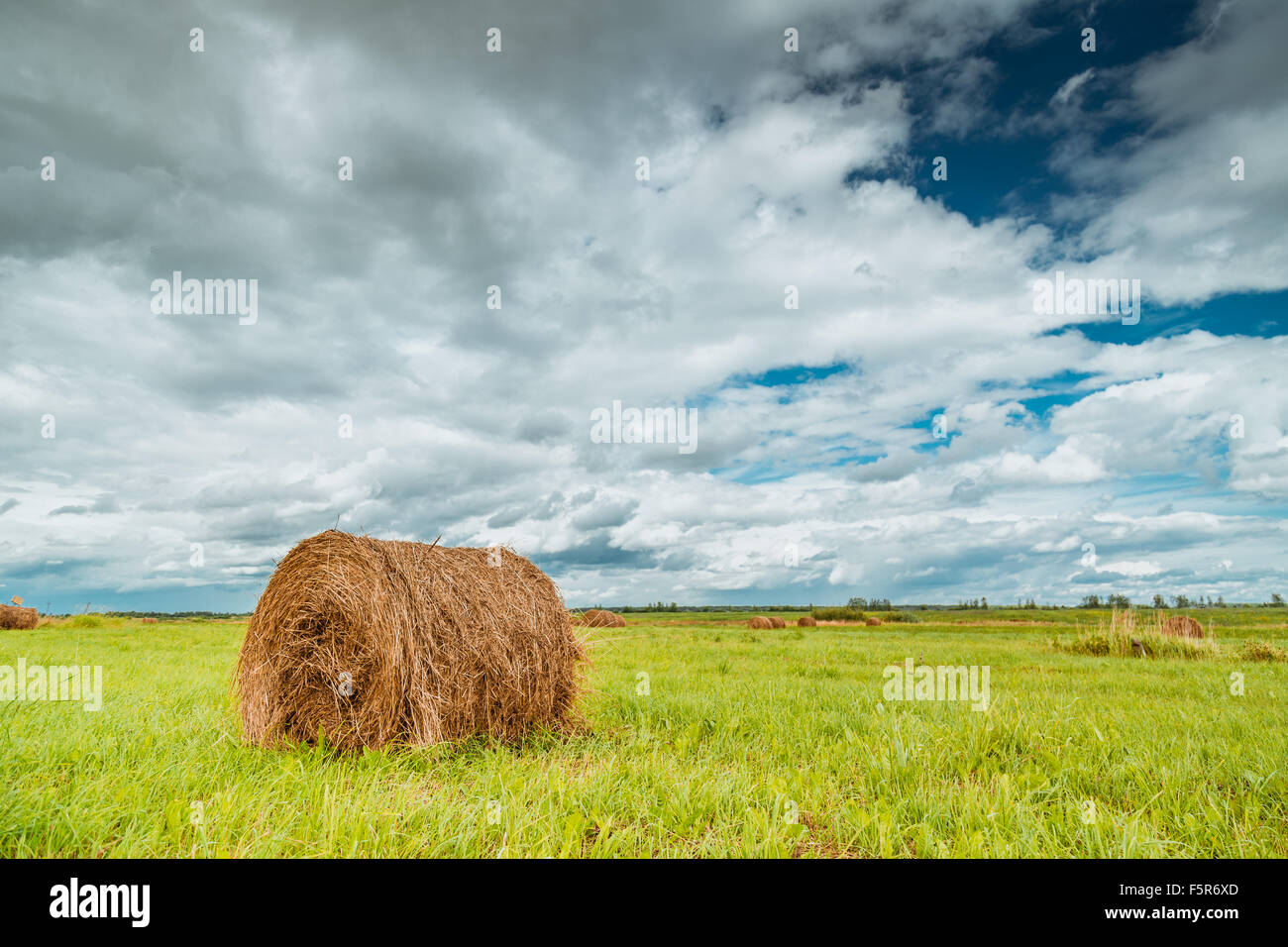 Straw bales on farmland with blue cloudy sky Stock Photo - Alamy