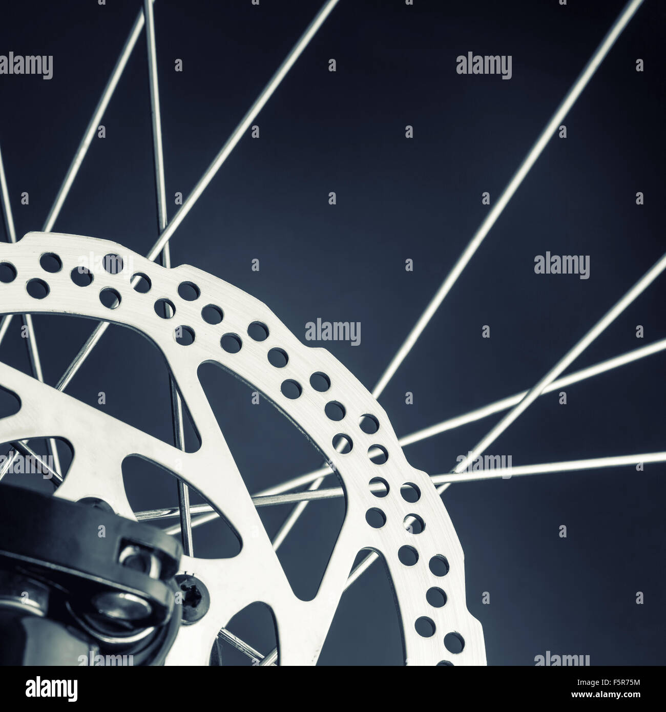Closeup of disk brake of a mountain bicycle Stock Photo Alamy