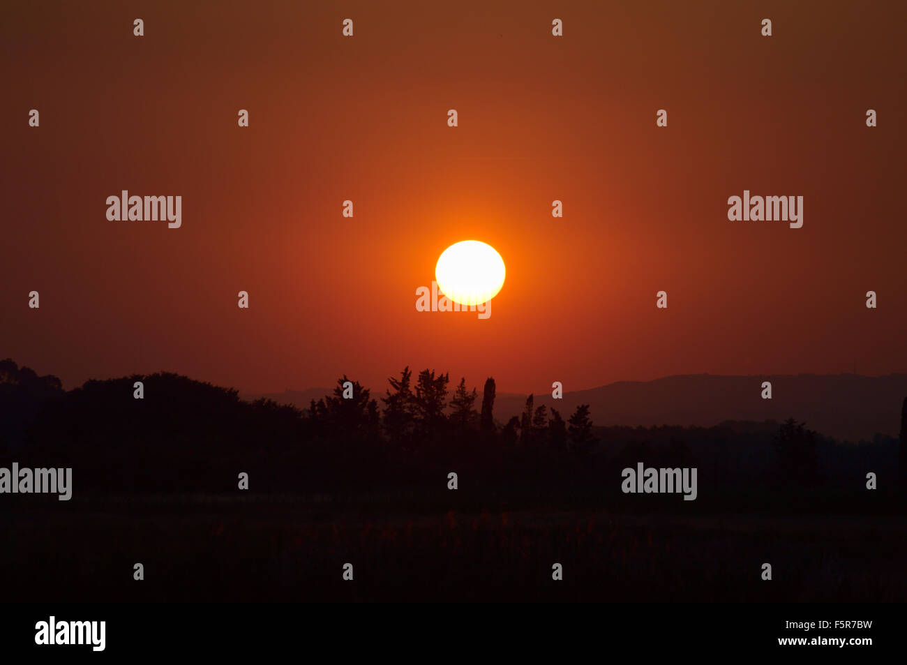 the sun like a ball at sunset Stock Photo