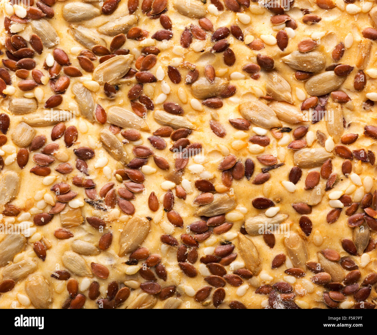 Close-up of cracker cookie. Background or texture Stock Photo