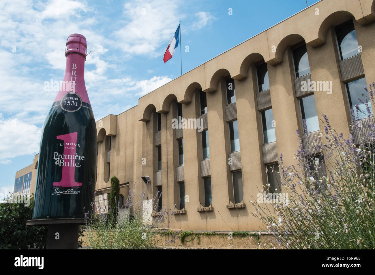 Grape plant factory hires stock photography and images Alamy