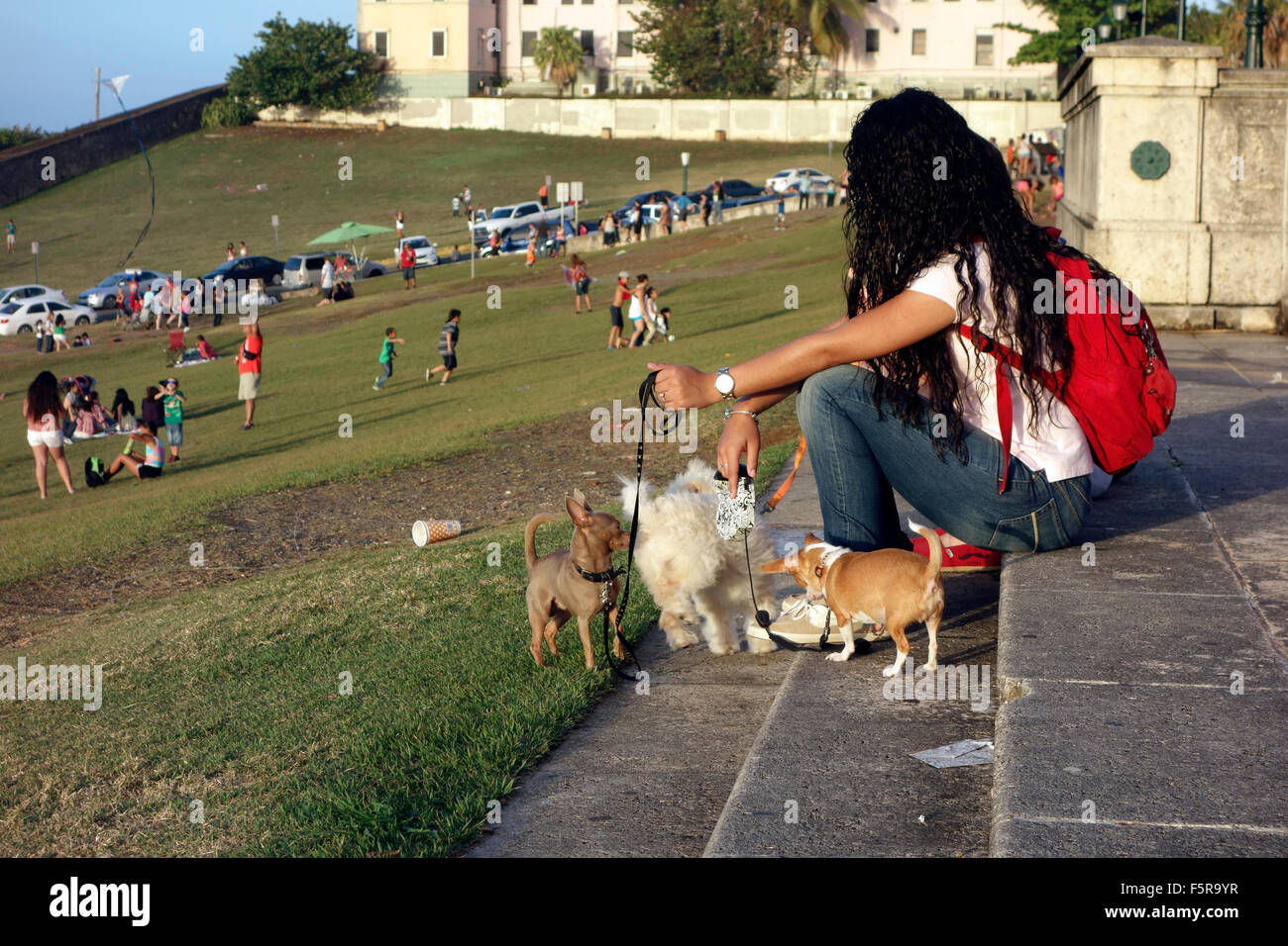 Young Puerto Rican woman walking dogs near El Morro Fort (San Felipe Fort), San Juan, Puerto Rico, Caribbean Stock Photo