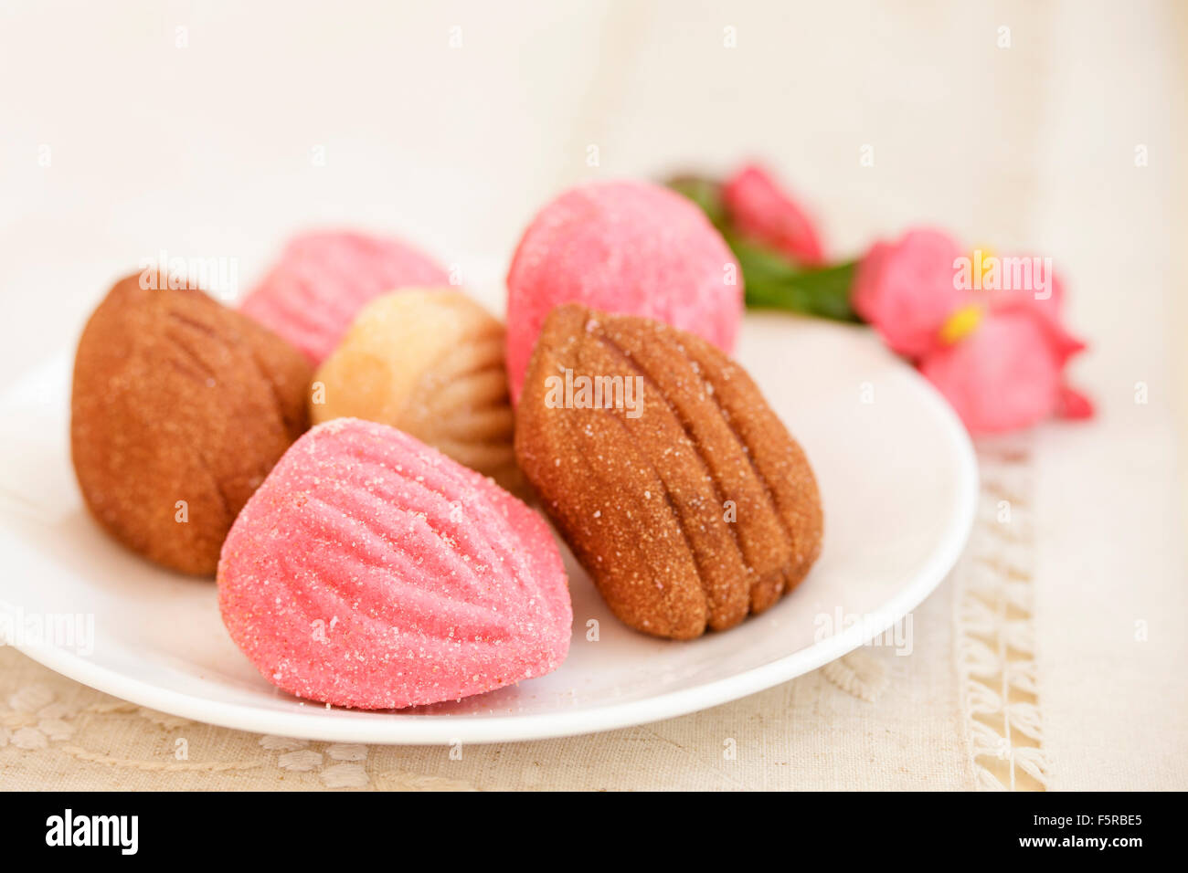 Jamoncillo candy (dulce de leche) traditional to Morelia, Michoacan