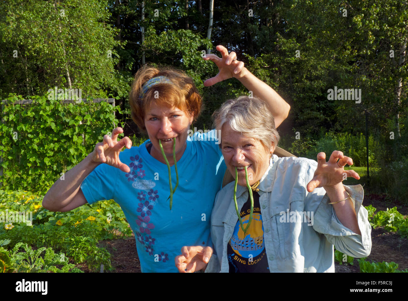 Two women demonstrate the funny and side of gardening wearing green bean fangs amd joking in friendship, Yarmouth Maine, USA Stock Photo