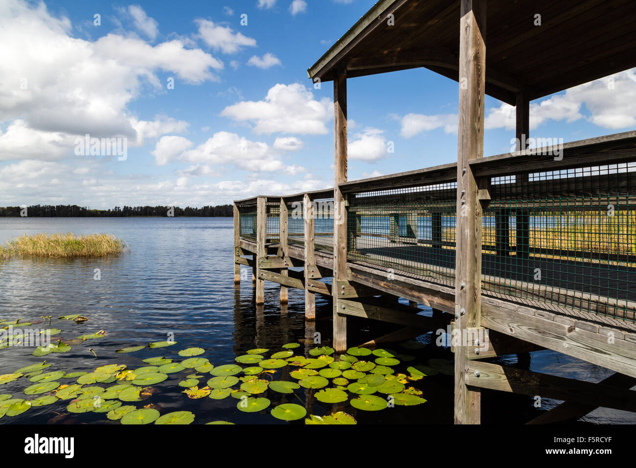 View over Lake Louisa, Clermont, Florida Stock Photo Alamy