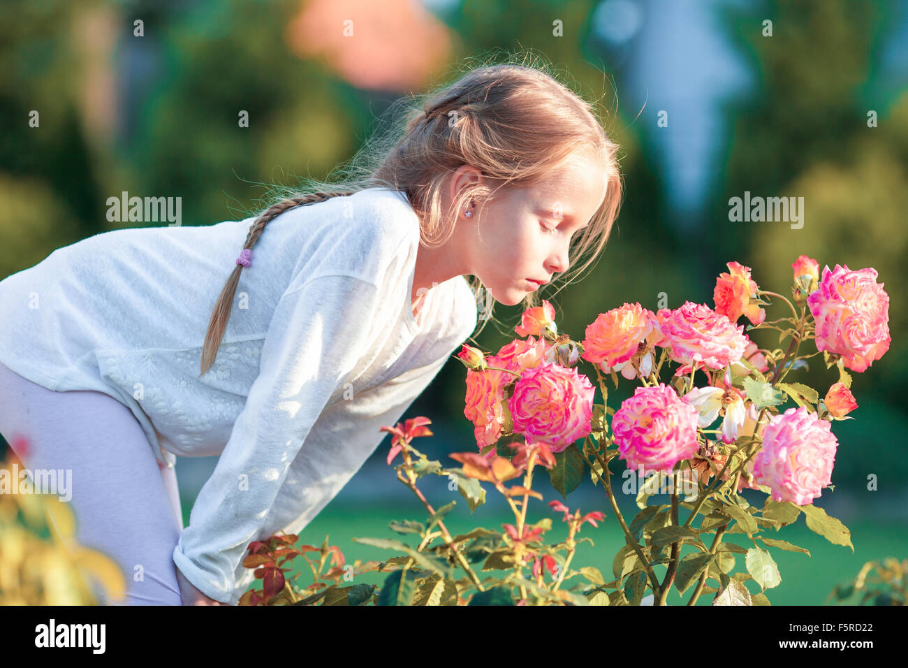 Little adorable girl smelling colorful flowers at summer day Stock ...
