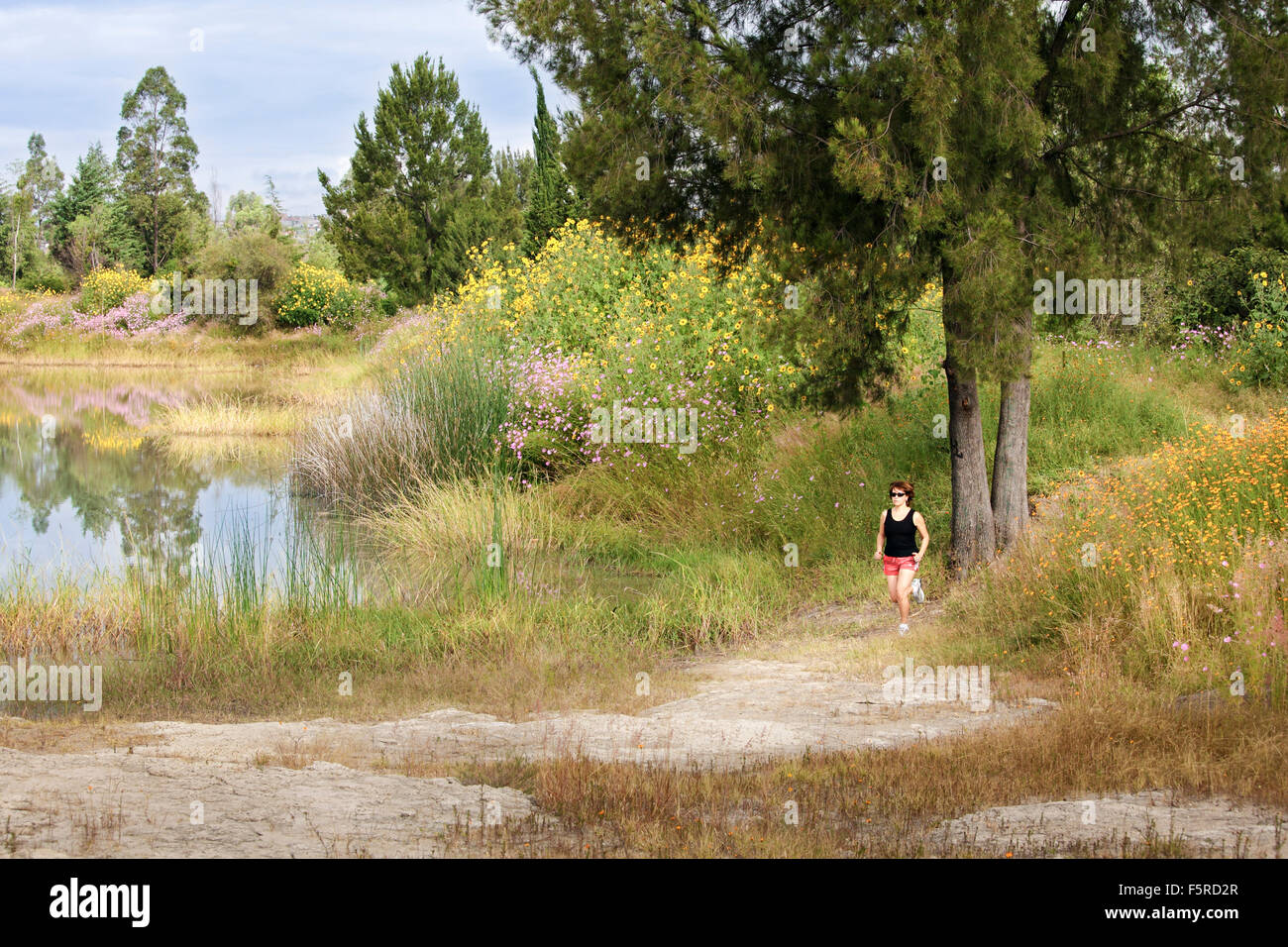 Female trail runner in the Parque Ecologico of Morelia, Michoacan, Mexico. Stock Photo