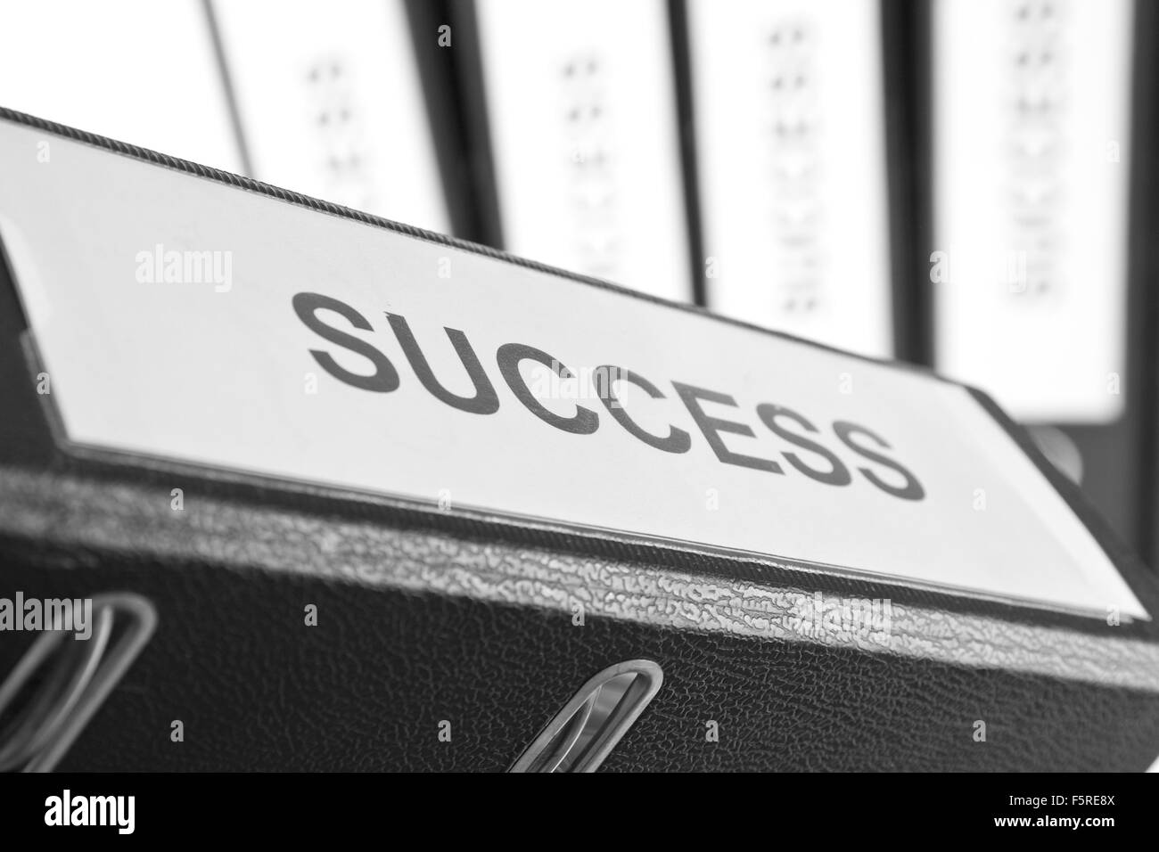 Success binder with blurred other binders in background Stock Photo Alamy