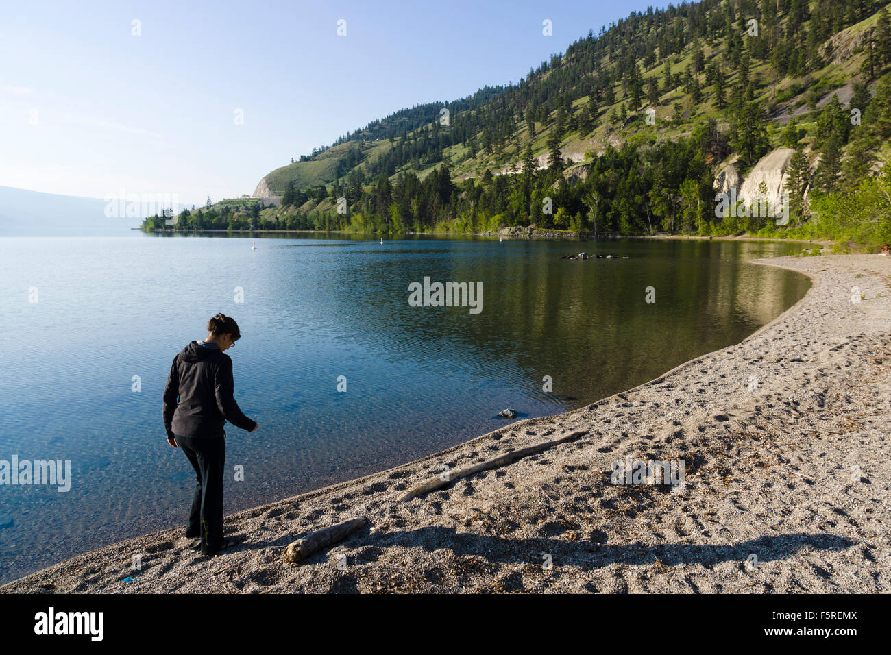 Okanagan Lake Provincial Park, British Columbia, Canada. Stock Photo