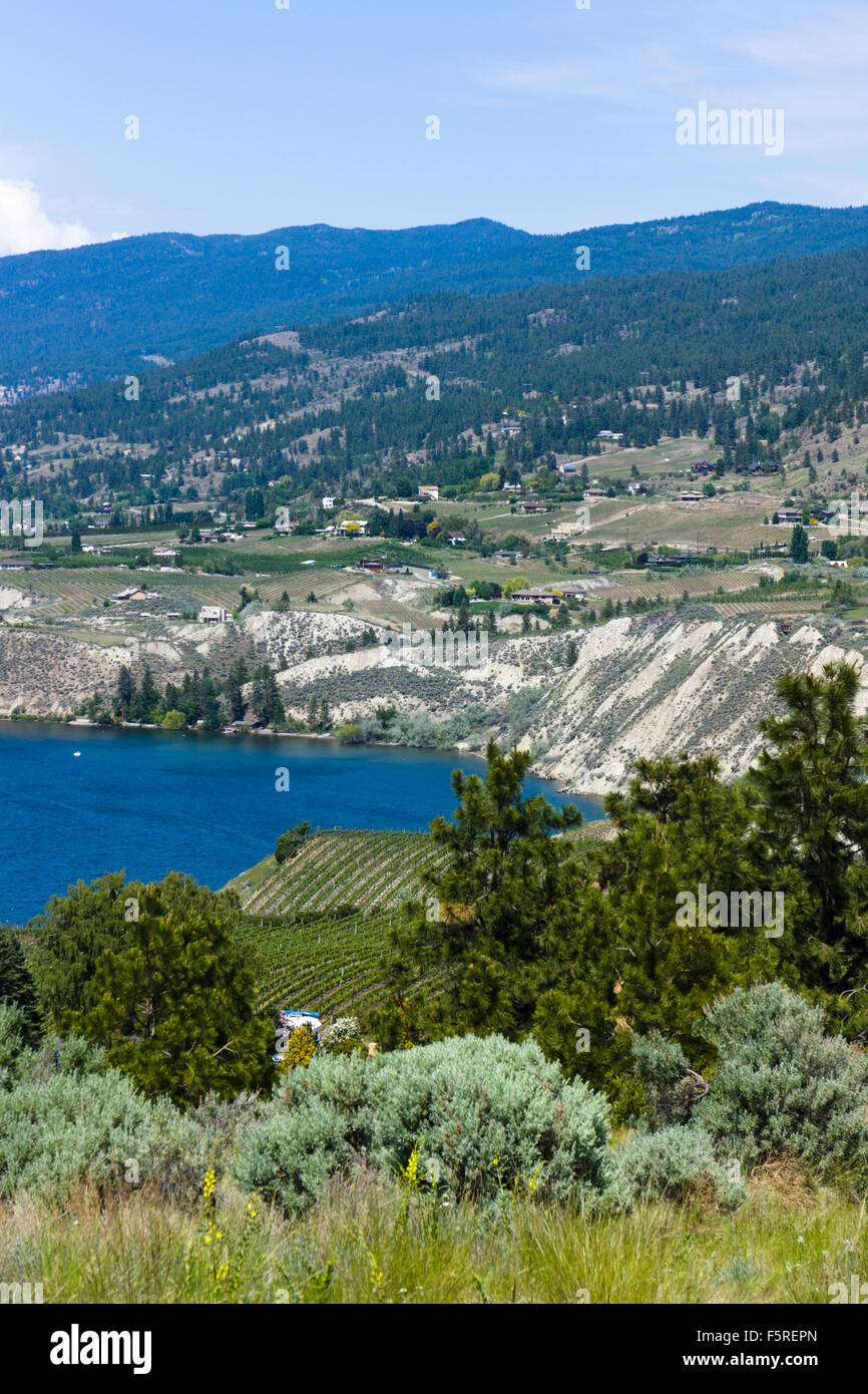 Vineyards and orchards at Okanagan Lake shore. Naramata, British Columbia, Canada. Stock Photo