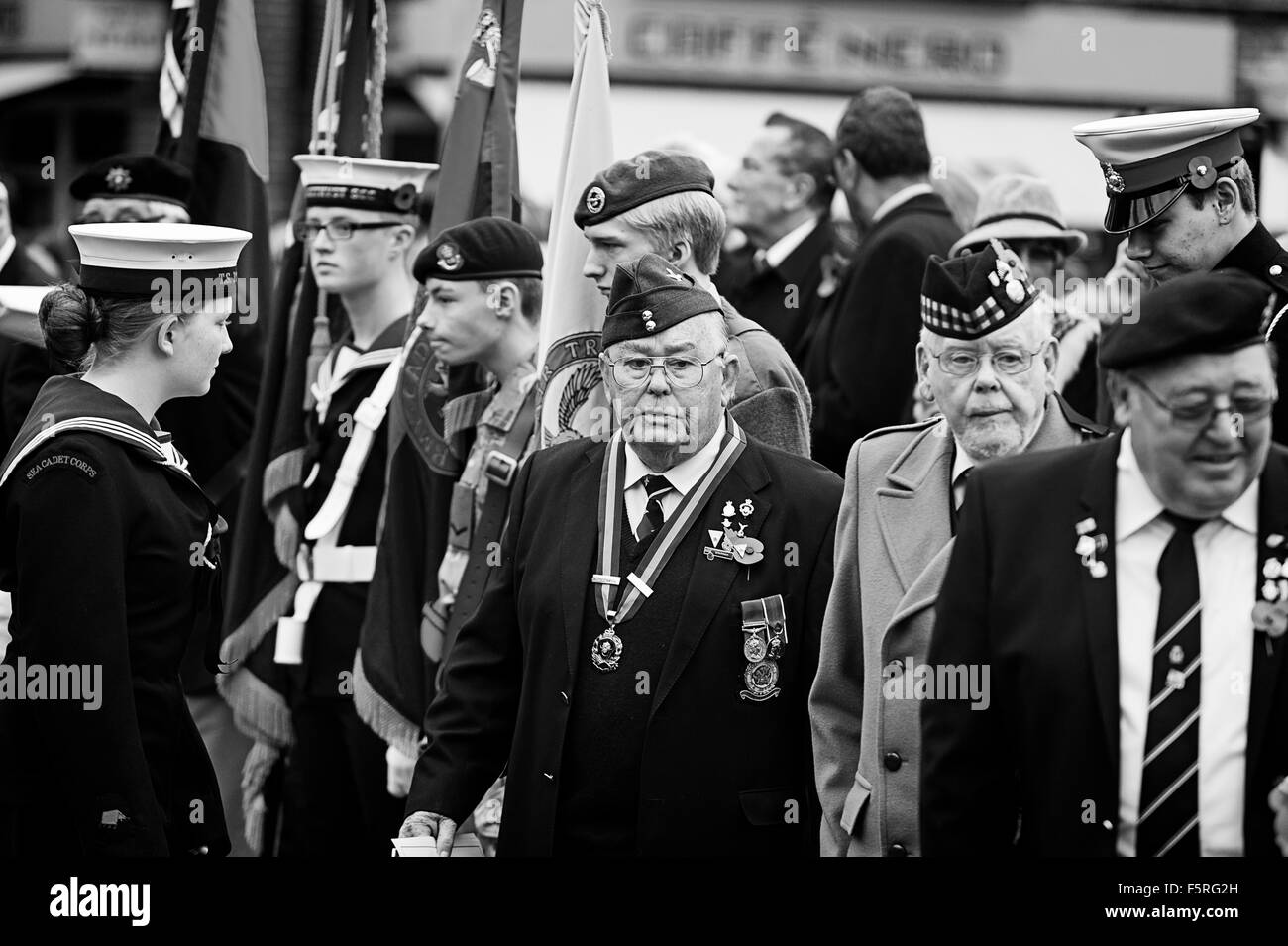 2015 Remembrance Day Parade, Welwyn, UK Stock Photo