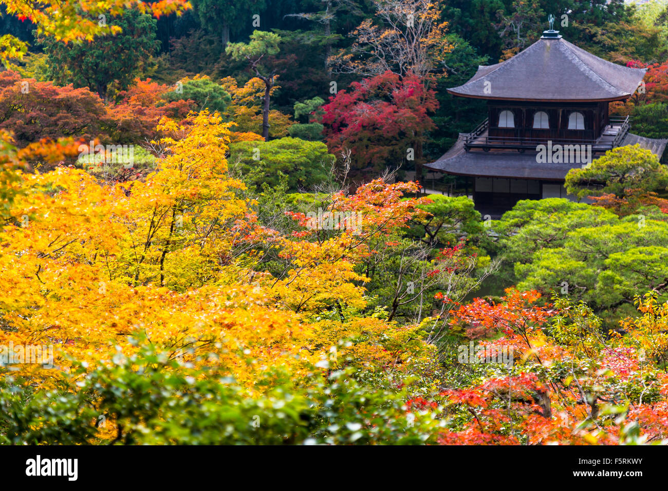Silver pavilion in kyoto hi-res stock photography and images - Alamy