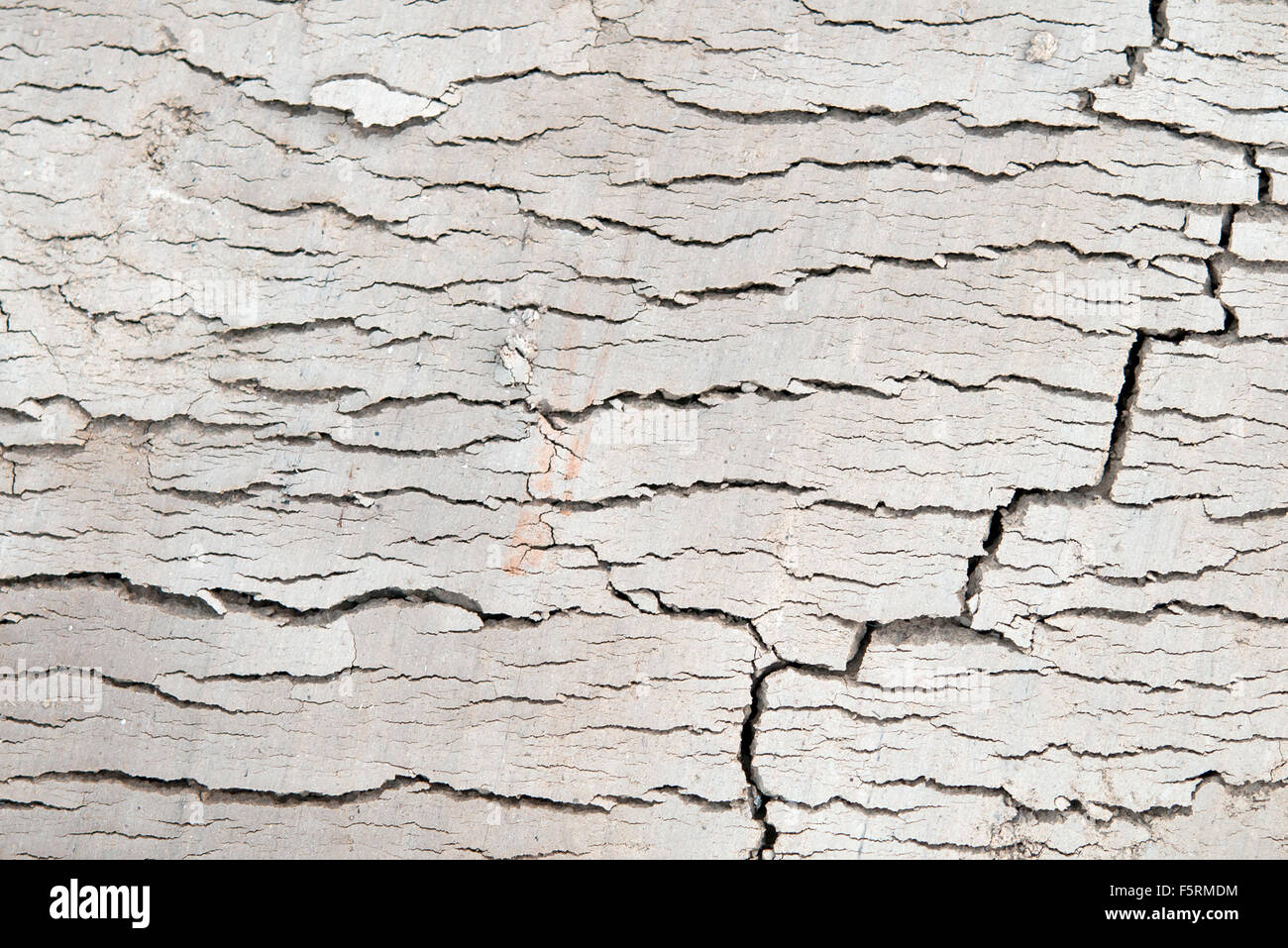 a cracked land close up Stock Photo - Alamy