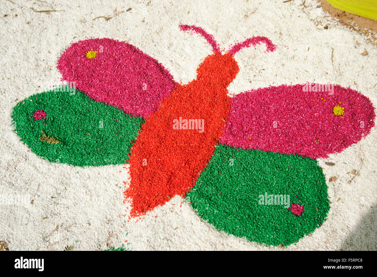 Butterfly rangoli, surajkund mela, haryana, india, asia Stock Photo