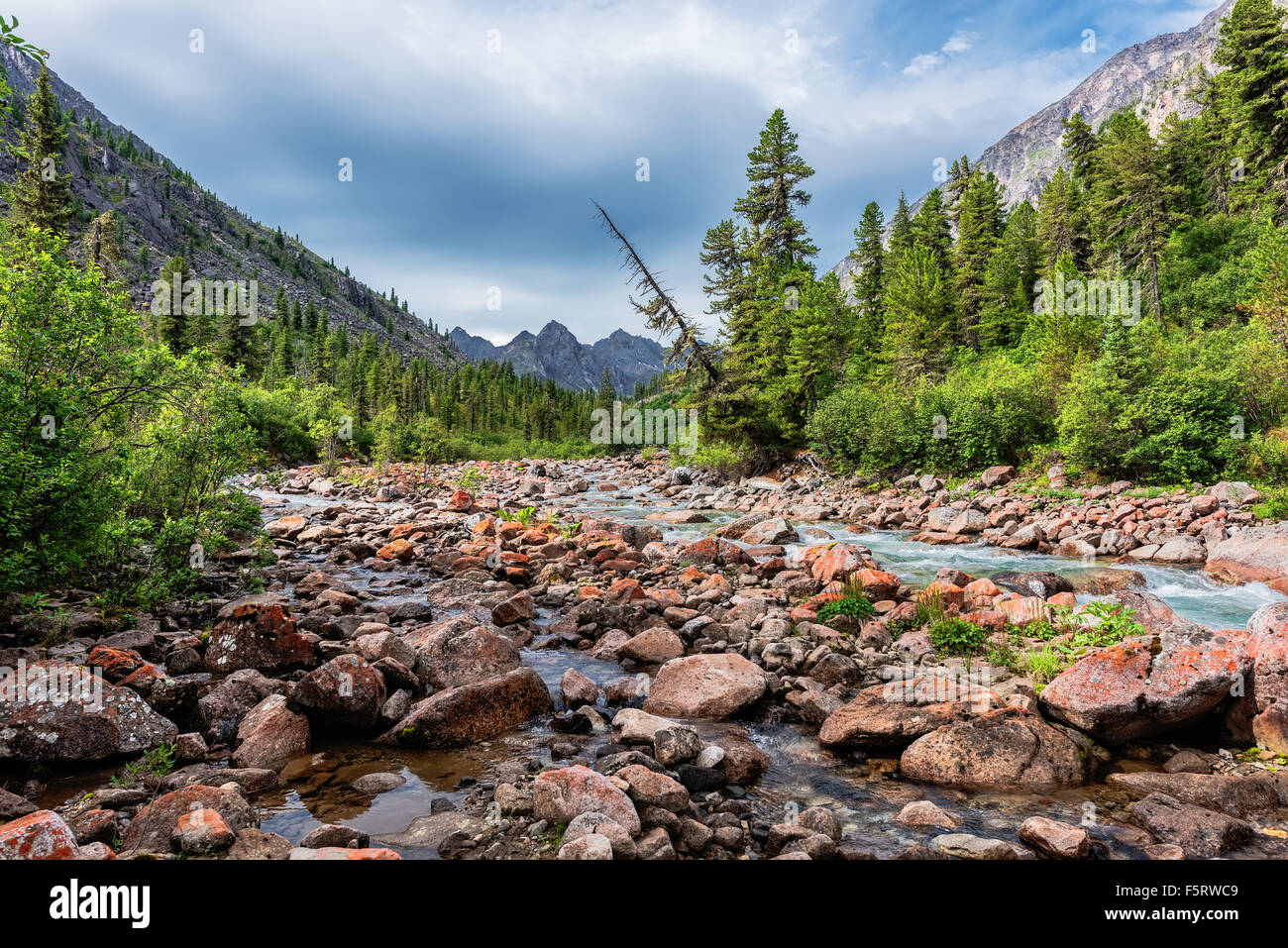 Siberian mountain river in early July. Eastern Sayan. Republic of Buryatia Stock Photo