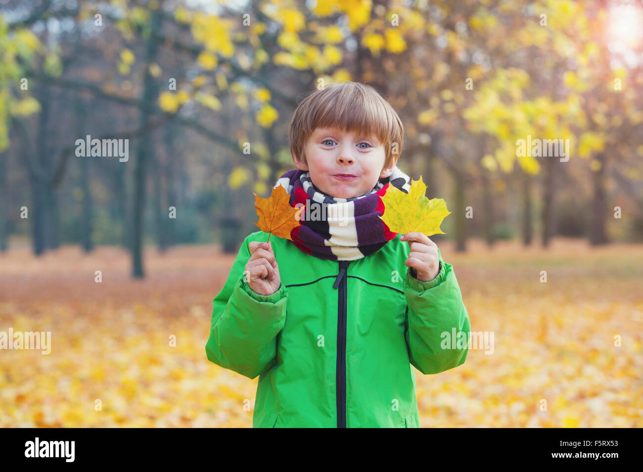 boy in park in fall holding leaves in his hands Stock Photo - Alamy