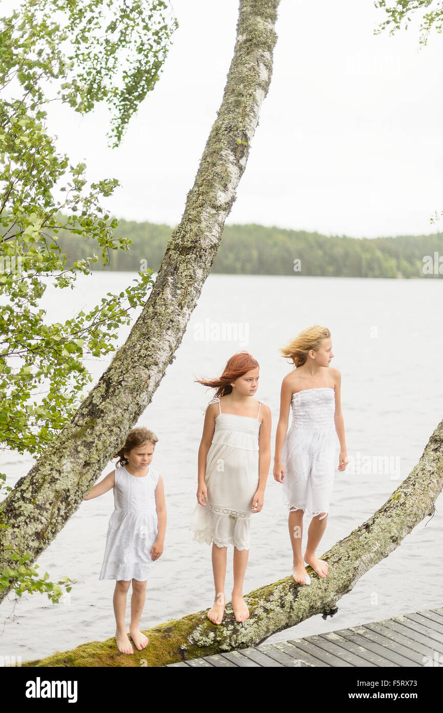 Sweden, Vastmanland, Bergslagen, Hallefors, Sangshyttan, Three girls (4-5, 8-9, 10-11) standing on tree by lake Stock Photo