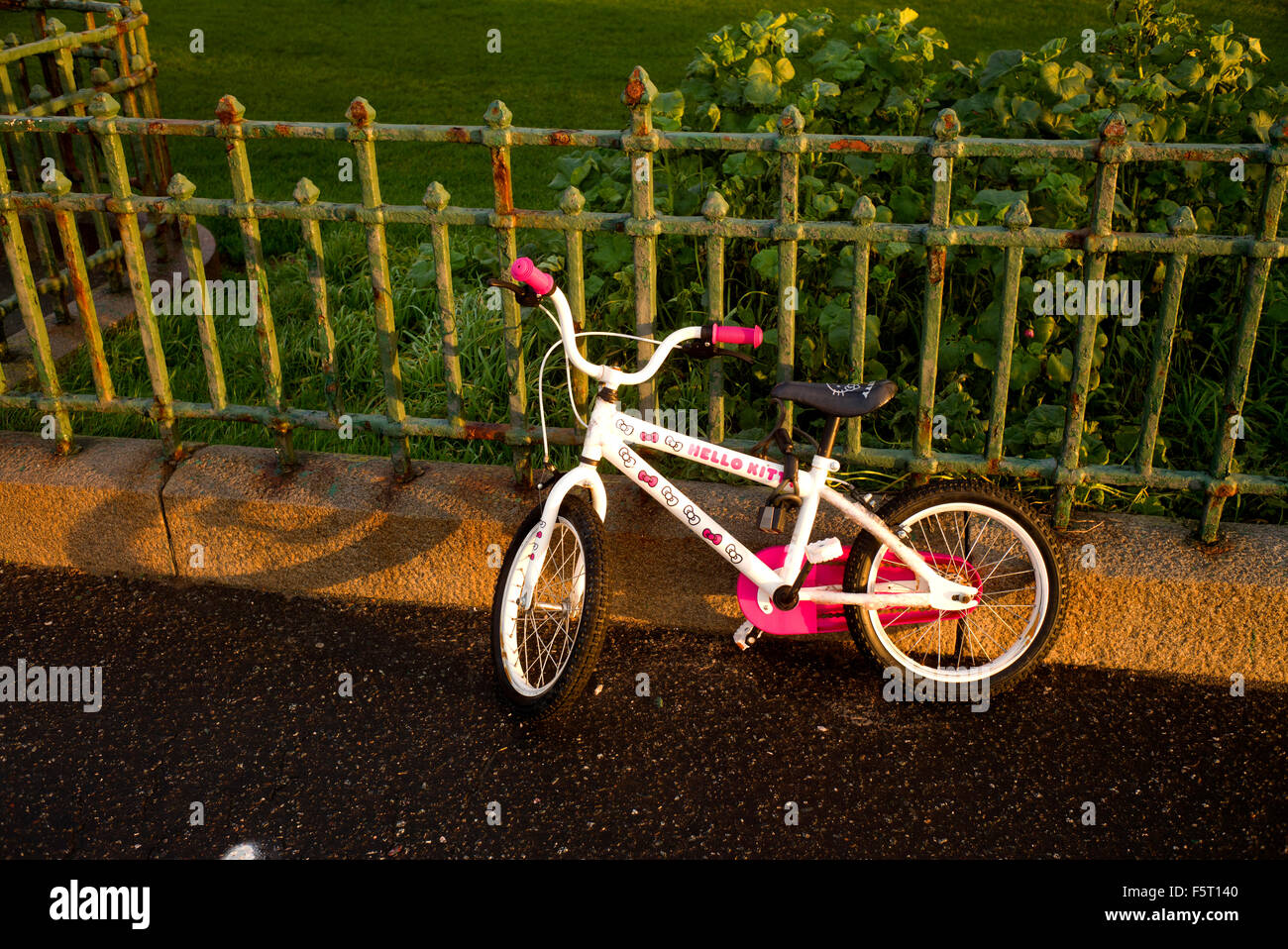 kitty bicycle
