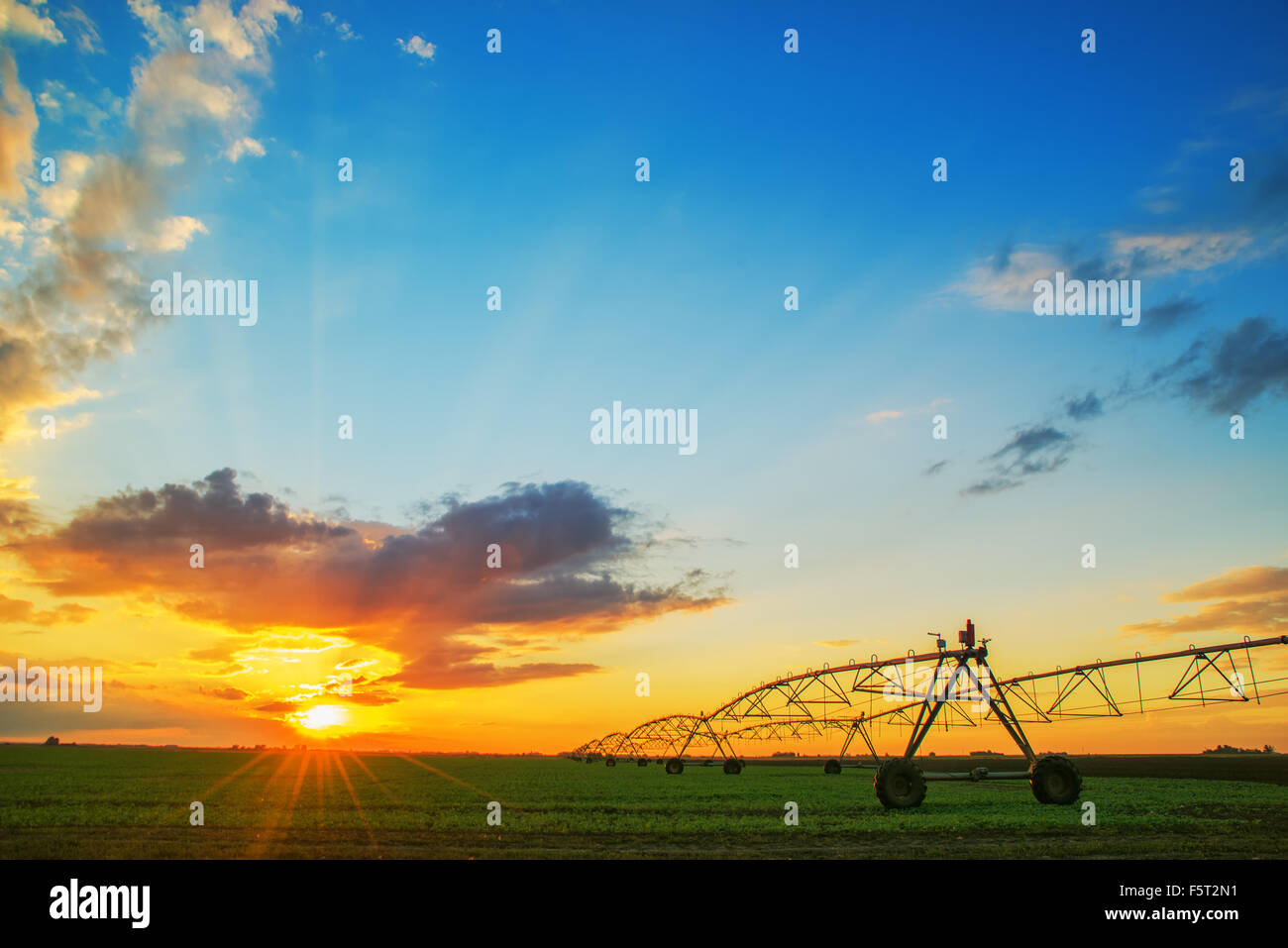 Automated farming irrigation sprinklers system on cultivated agricultural landscape field in sunset Stock Photo