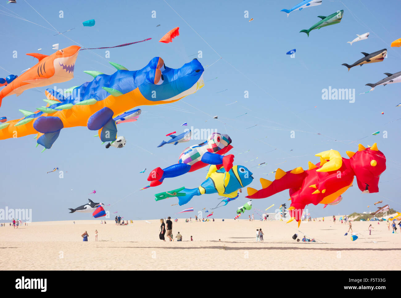 Fuerteventura International Kite Festival, El Burro beach, Corralejo