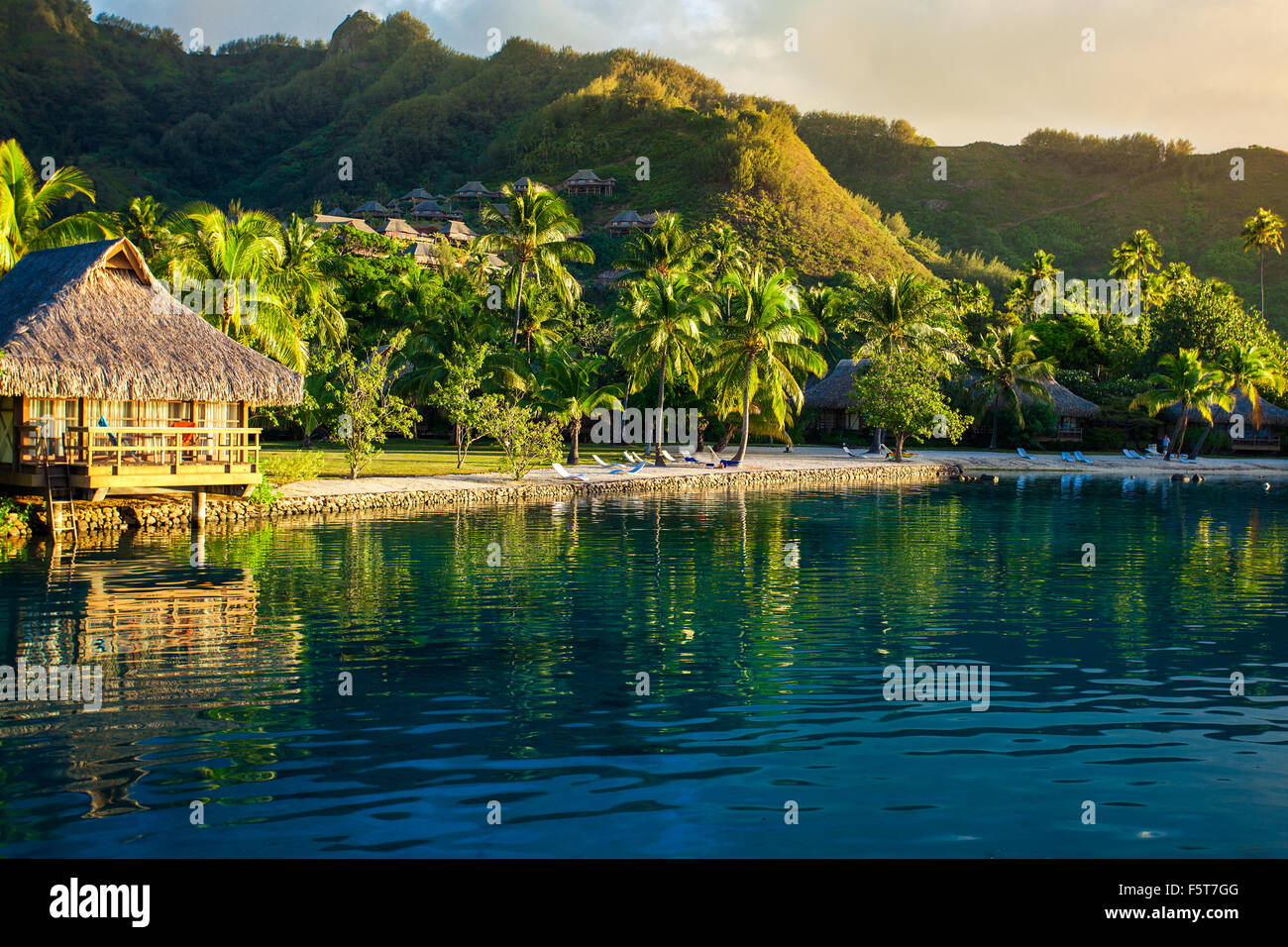 Tropical beach sunset palm trees hi-res stock photography and images ...