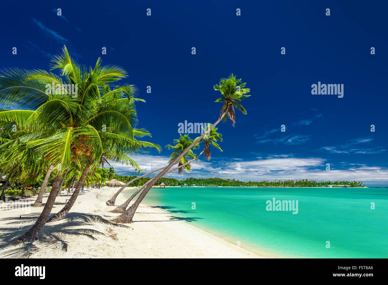 Ocean landscape tropical beach hi-res stock photography and images - Alamy