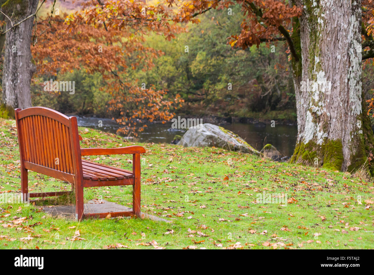 Bench by the Elan River with Autumn colours at Elan village in Elan Valley, Powys, Mid Wales, UK in November Stock Photo