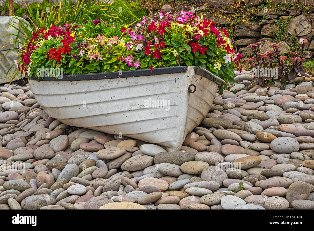 Devon flowers hi-res stock photography and images - Alamy
