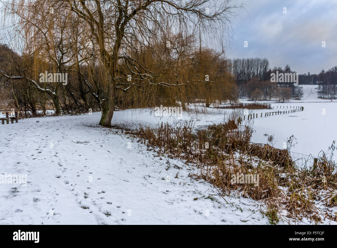 A path around the lake hi-res stock photography and images - Alamy