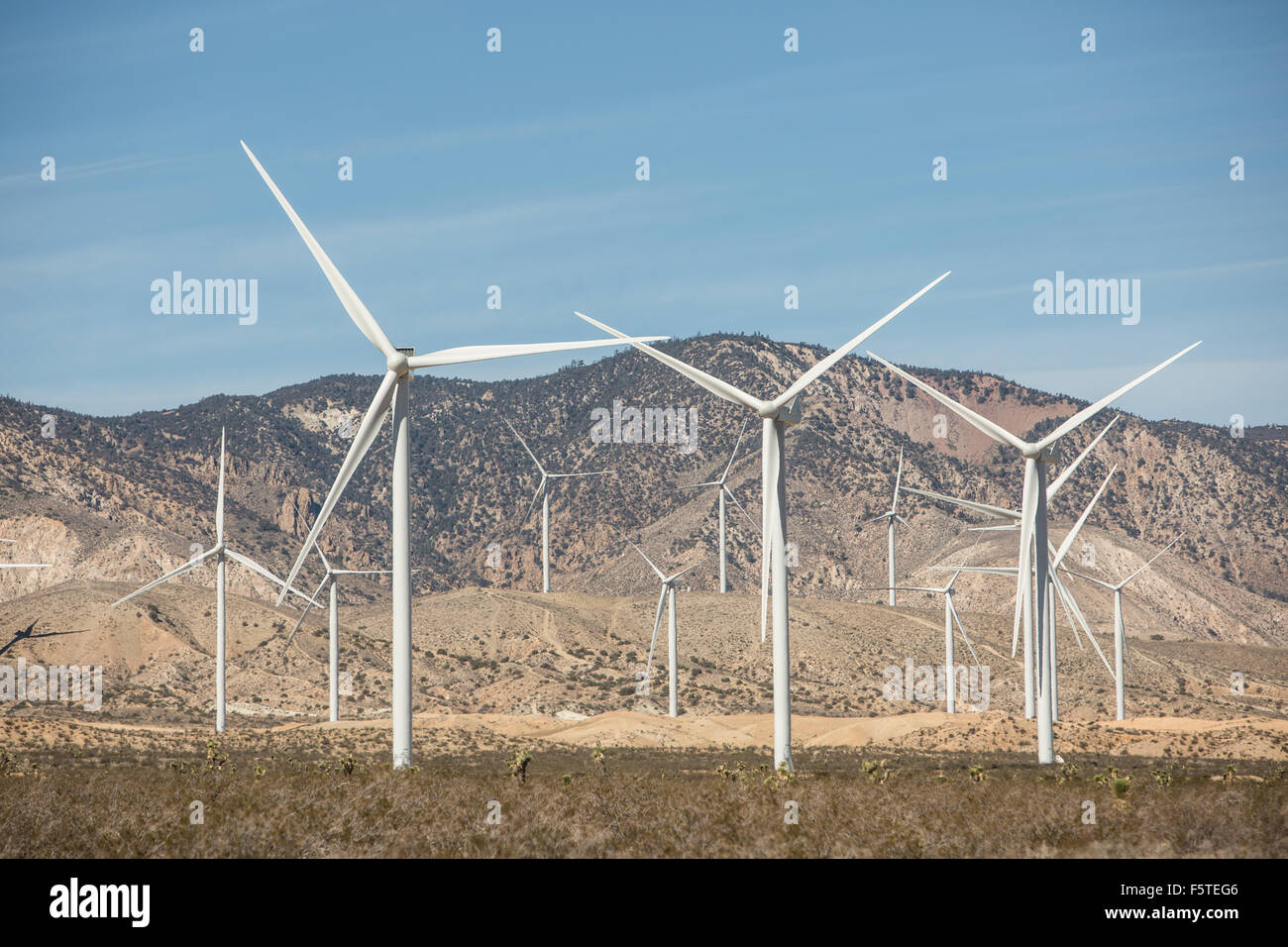 The Alta Wind Energy Center in Kern County, California. Stock Photo