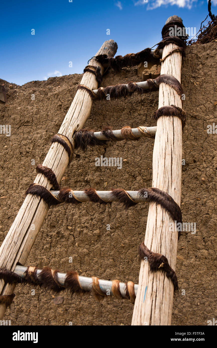 India, Himachal Pradesh, Spiti, Hikkim, traditionally constructed ladder to roof bound with animal hide Stock Photo