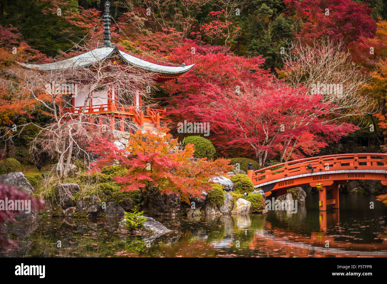 Daigoji Temple In Maple Trees Momiji Season Kyoto Japan Stock Photo Alamy Daigoji Temple In Maple Trees Momiji Season Kyoto Japan Stock Photo Alamy