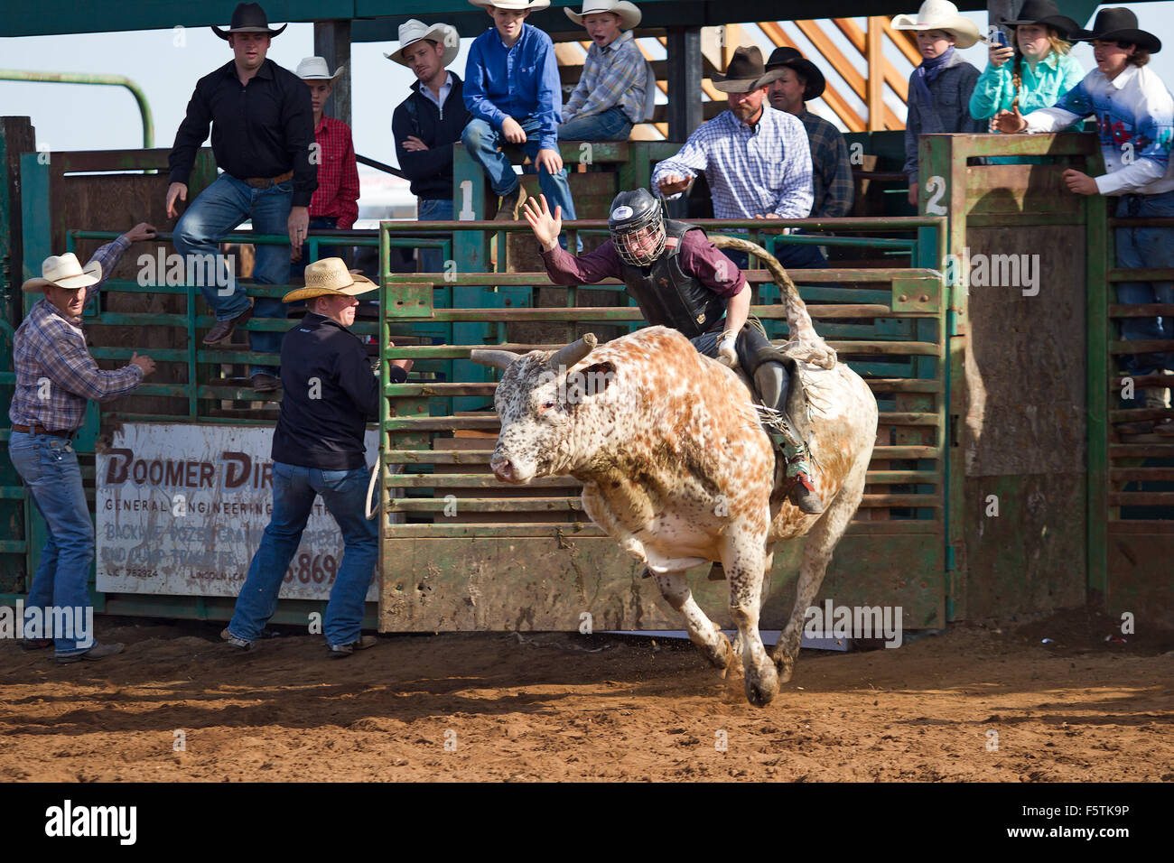 Young women compete in barrel racing at the Lincoln, California Rodeo