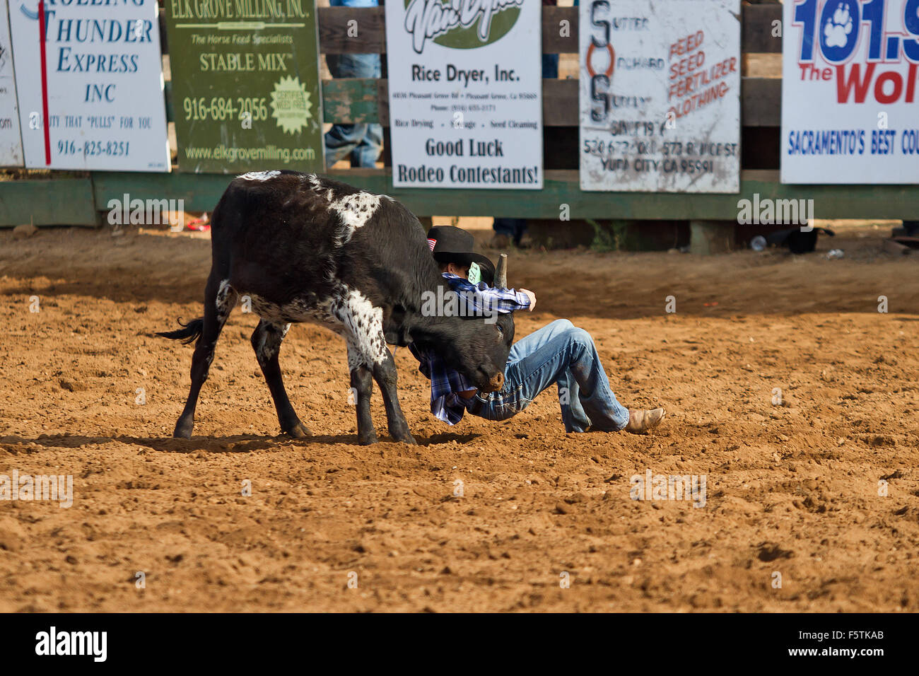 Young women compete in barrel racing at the Lincoln, California Rodeo