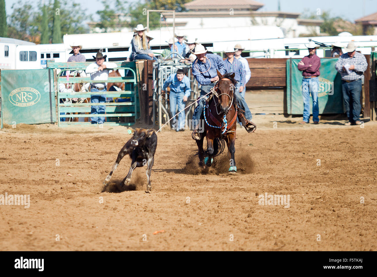 Young women compete in barrel racing at the Lincoln, California Rodeo