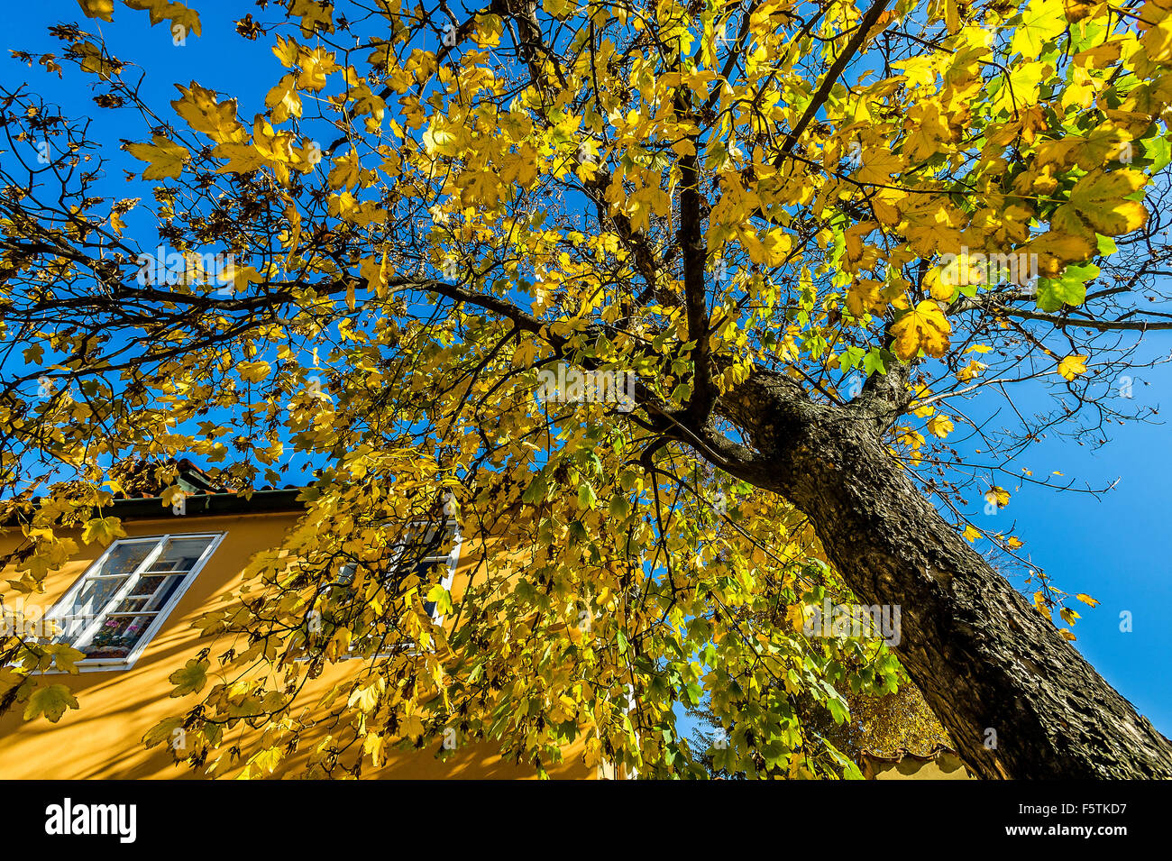 autumn in Prague Stock Photo