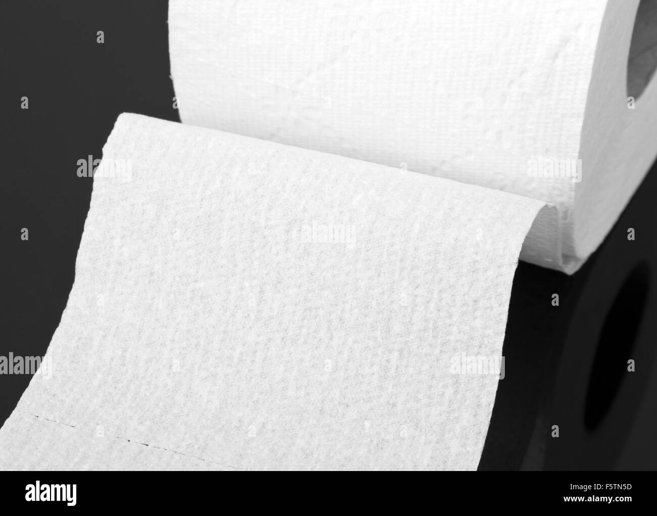 Closeup view of white toilet paper roll Stock Photo Alamy