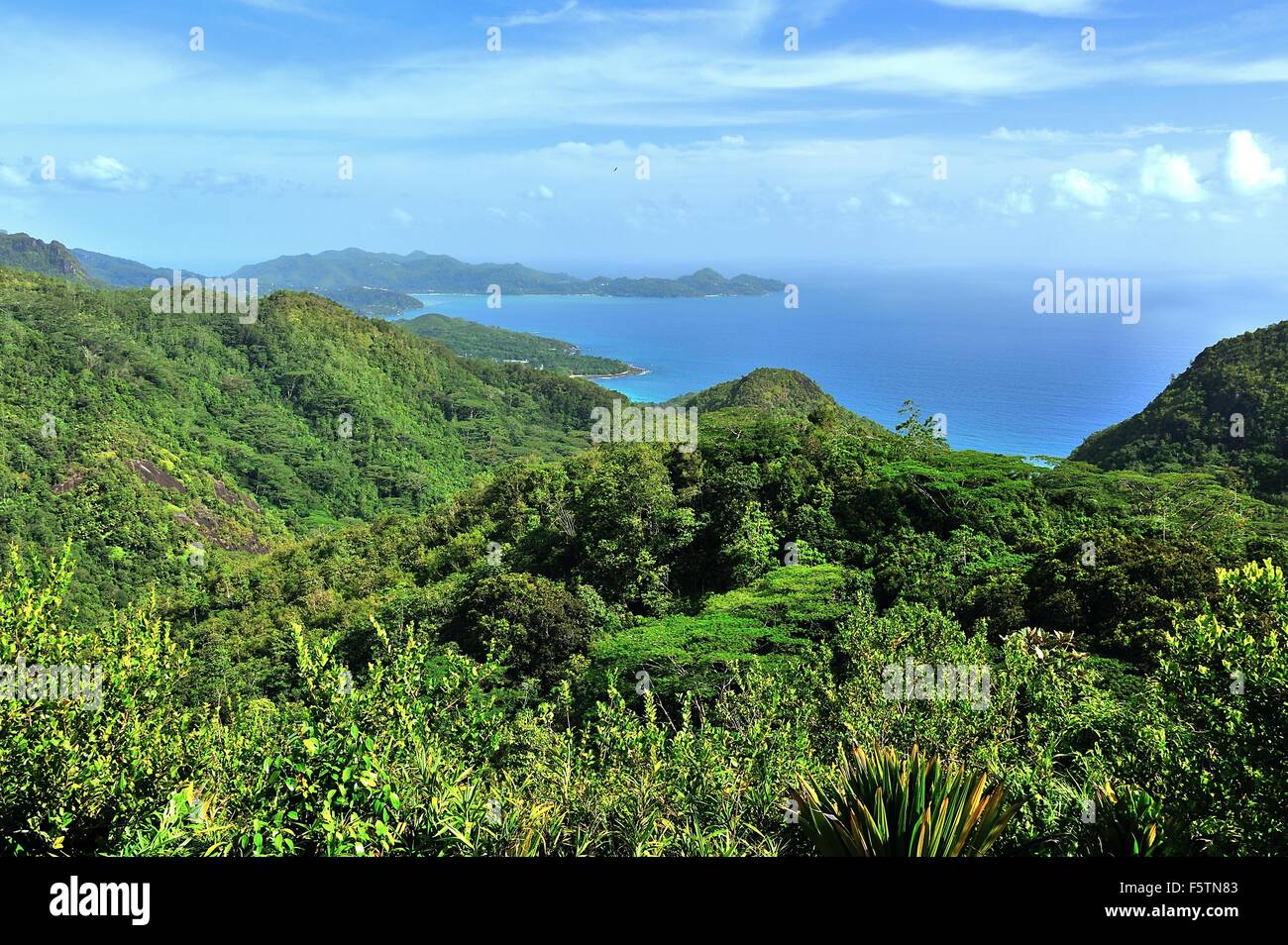 Viewing Lodge, Island Mahe, Seychelles Stock Photo