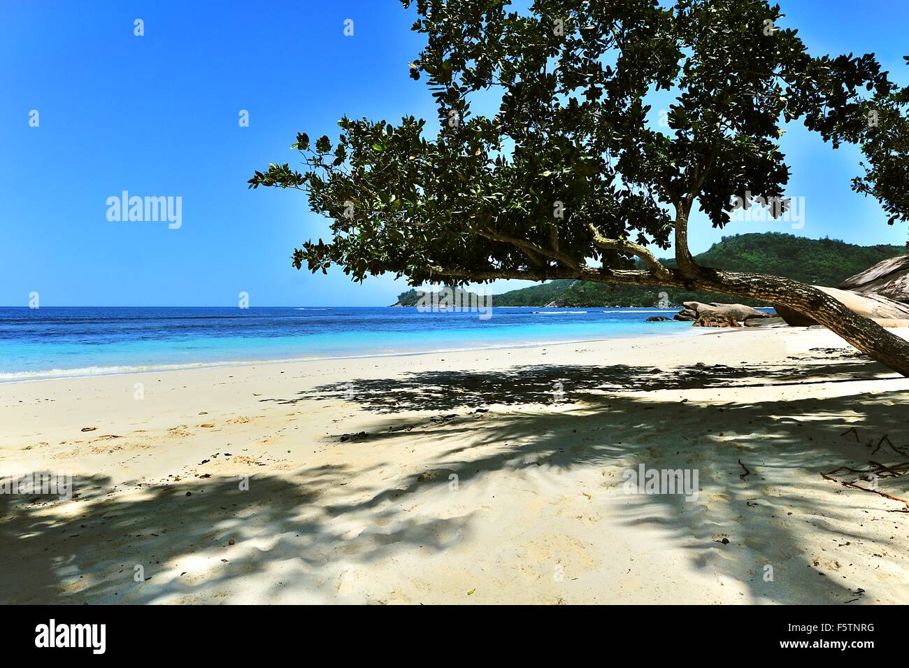 Beach Anse Forbans, Island Mahé, Seychelles Stock Photo