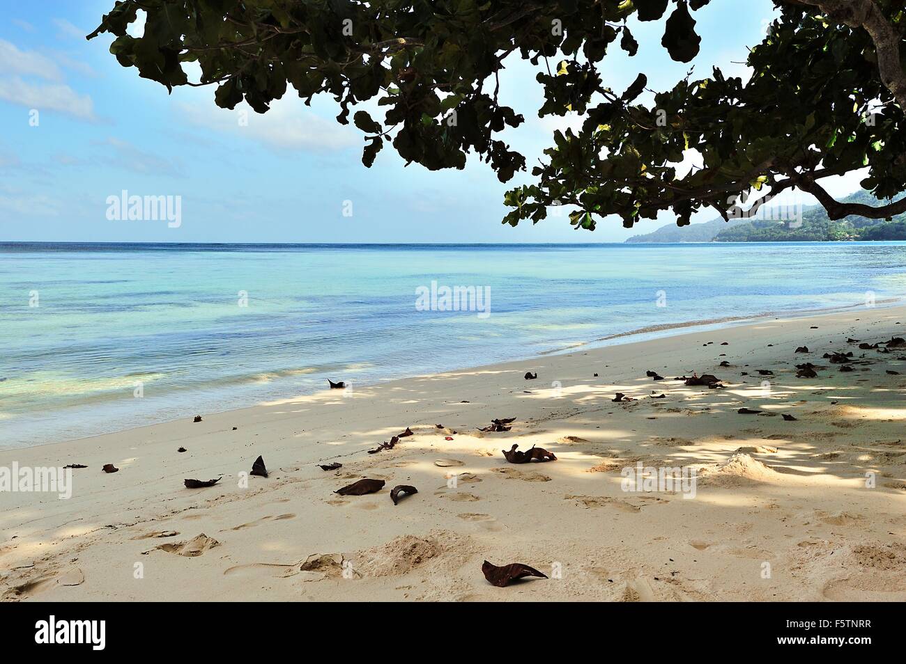 Beach Anse Forbans, Island Mahe, Seychelles Stock Photo