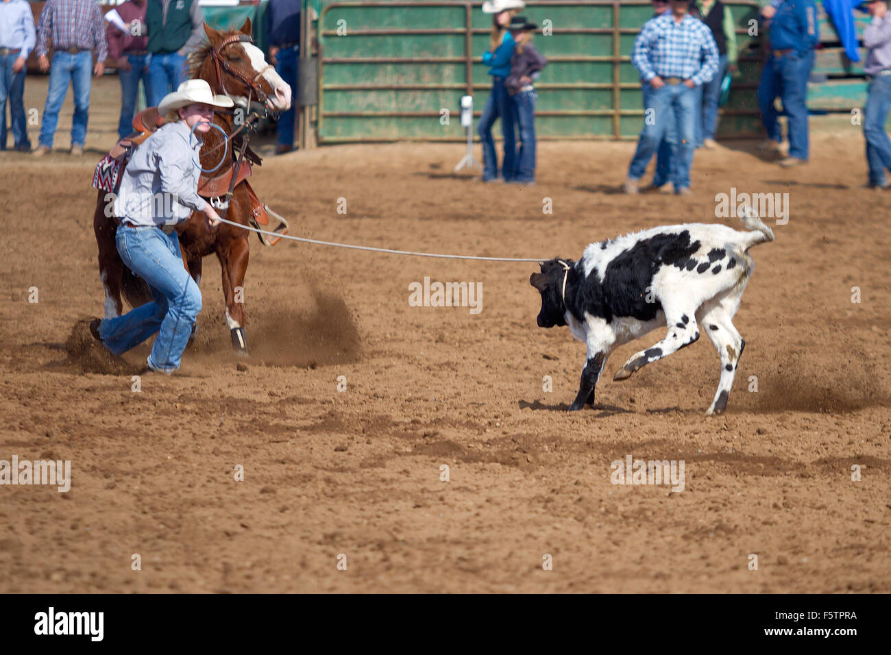 Young women compete in barrel racing at the Lincoln, California Rodeo