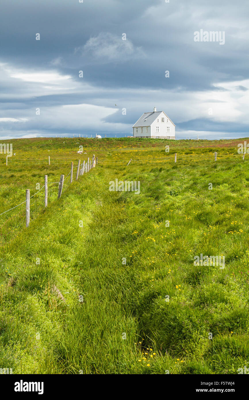 White house on hill, lawn in front, island of Flatey, Westfjords, Iceland Stock Photo