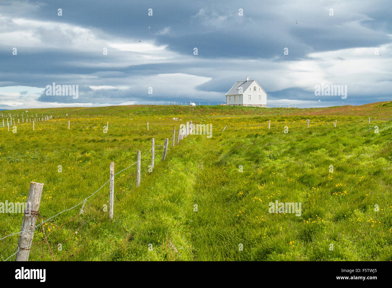 White house on hill, lawn in front, island of Flatey, Westfjords, Iceland Stock Photo
