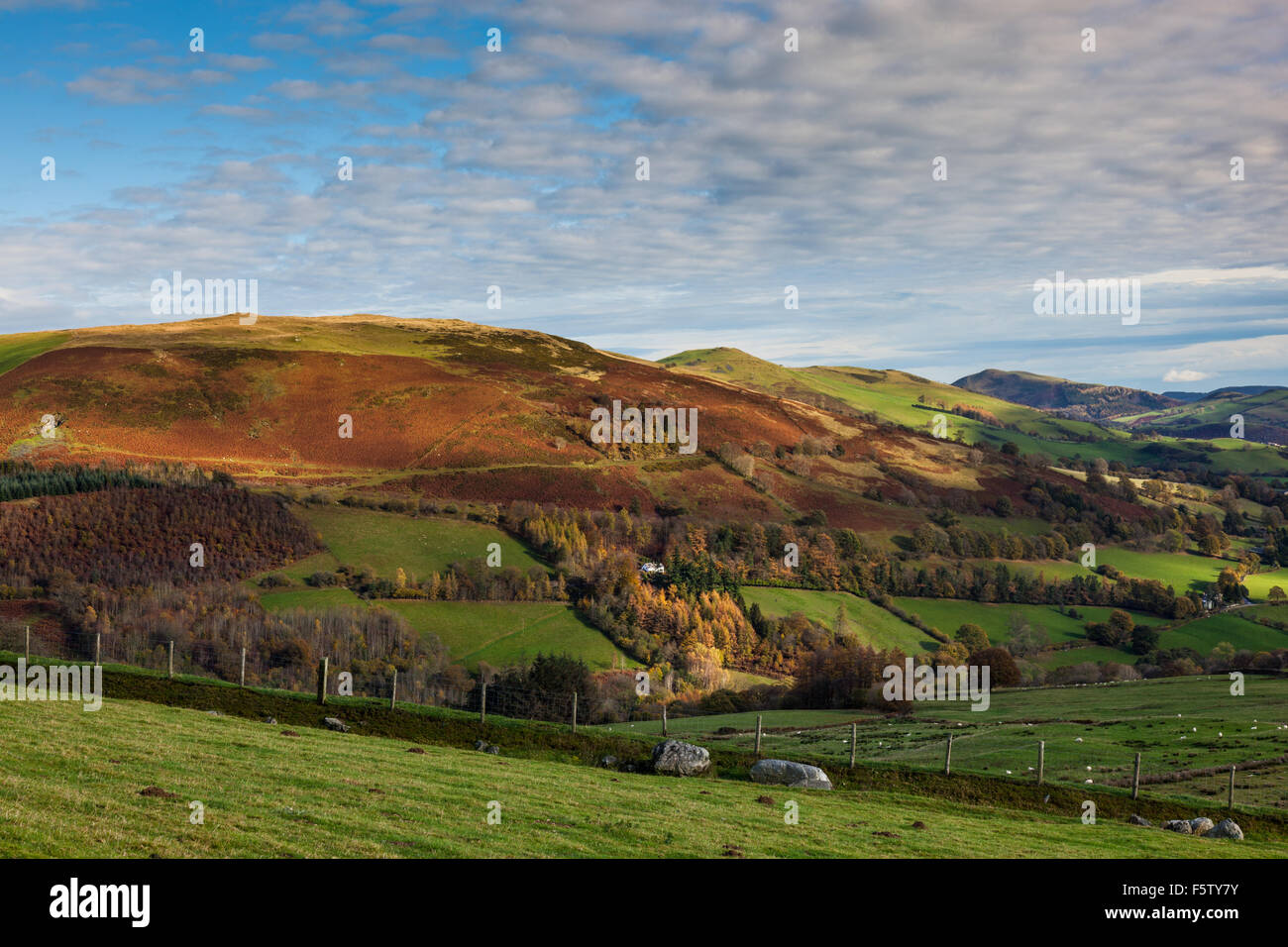 Moel Hen-fache seen from the side of Glan-hafon, near Llanrhaeadr-ym ...