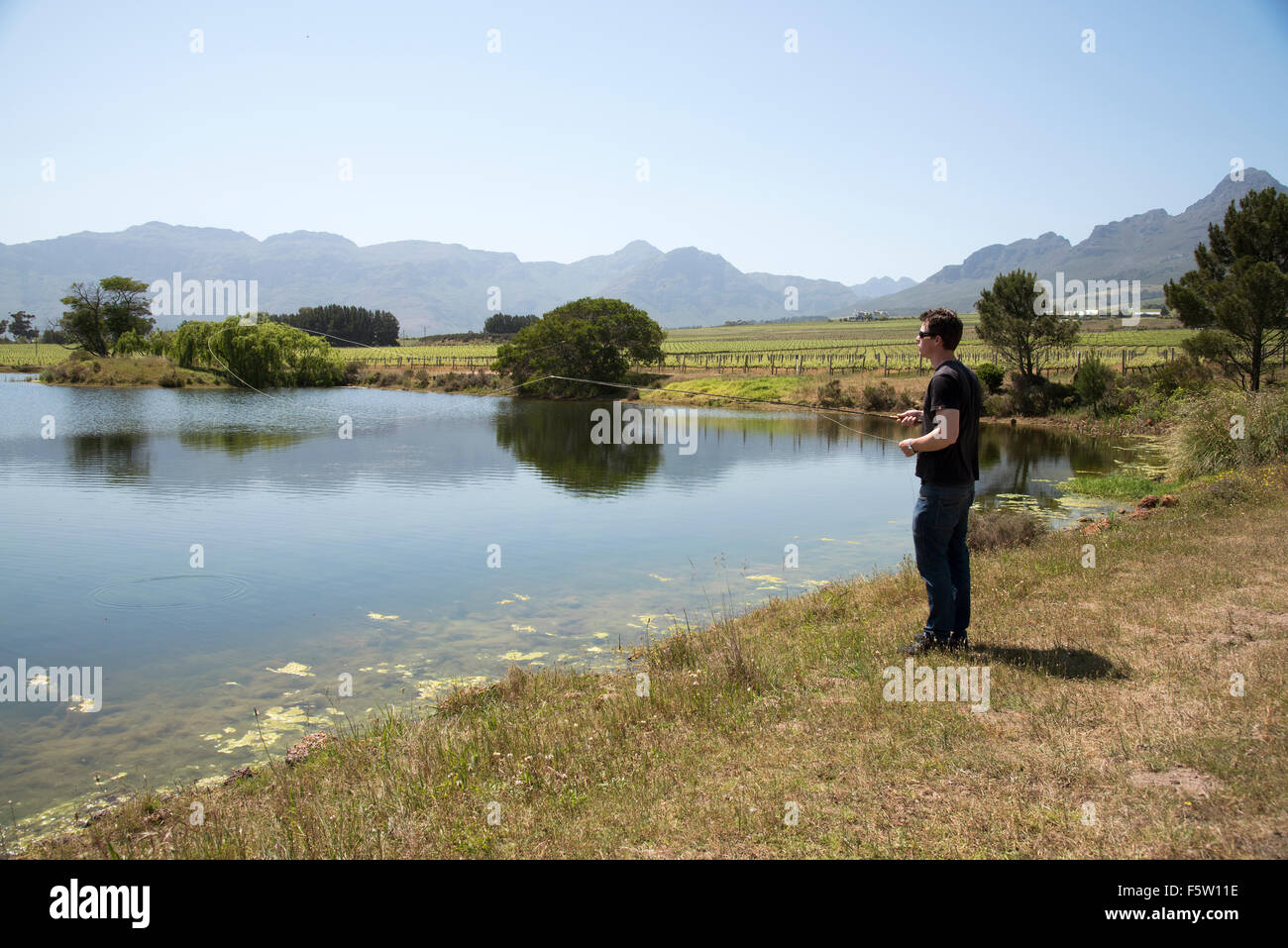Man fly fishing in the Western Cape region of South Africa Stock Photo