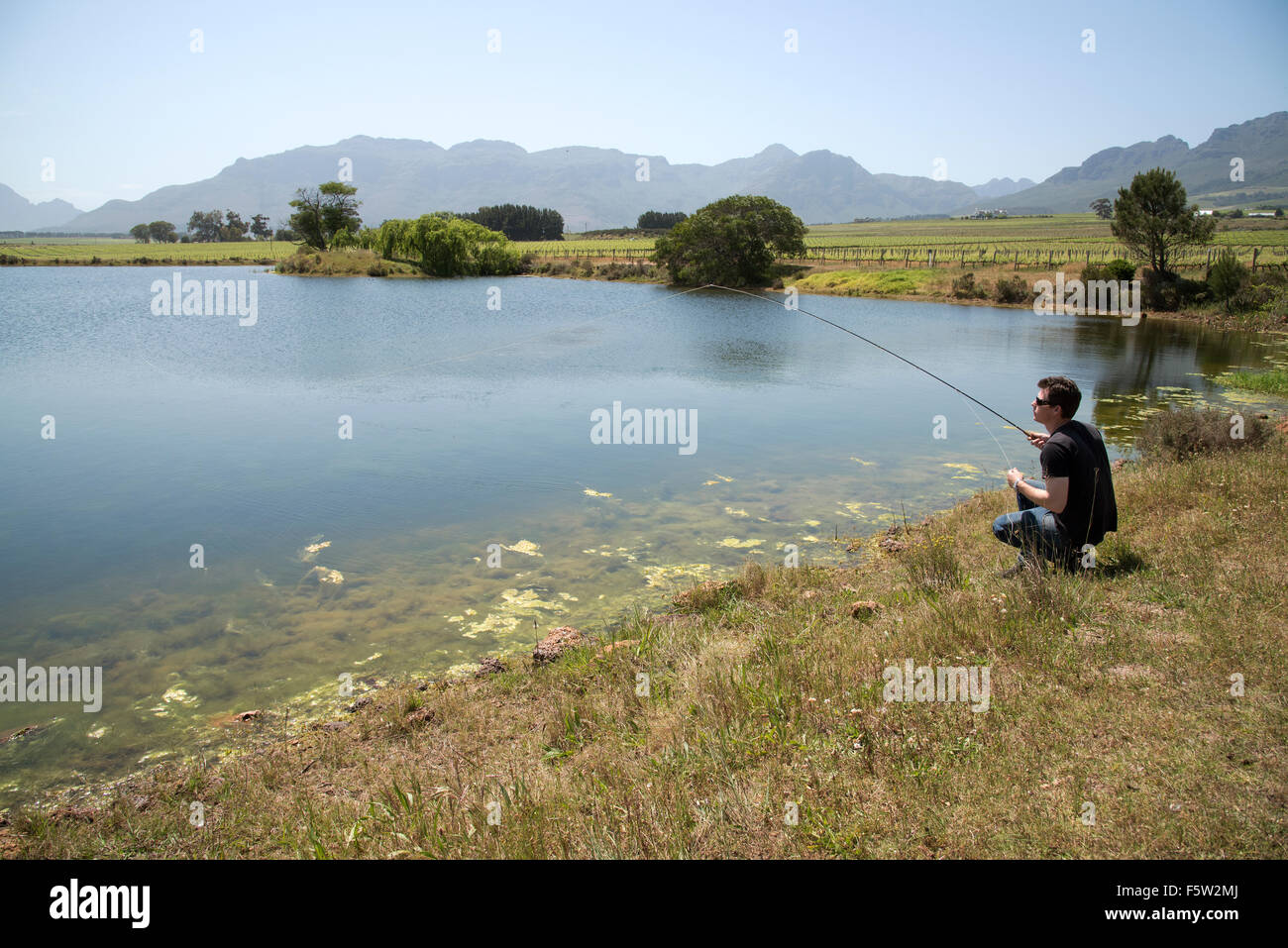 Man fly fishing in the Western Cape region of South Africa Stock Photo