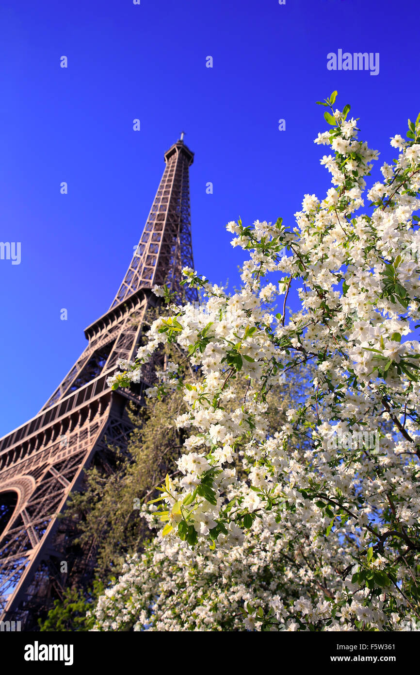 Eiffel Tower in spring time, Paris, France Stock Photo