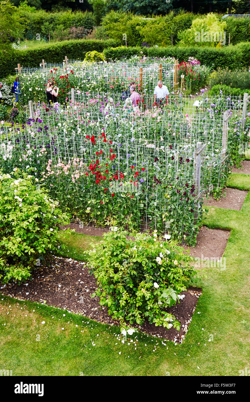 People viewing the sweet pea flowers at Easton Walled Gardens, Lincolnshire, England, UK. Stock Photo