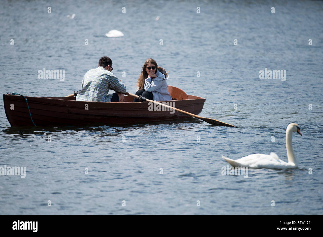 A couple in a rowing boat in Roath Park Lake, Cardiff, South Wales, during warm sunny weather. Stock Photo