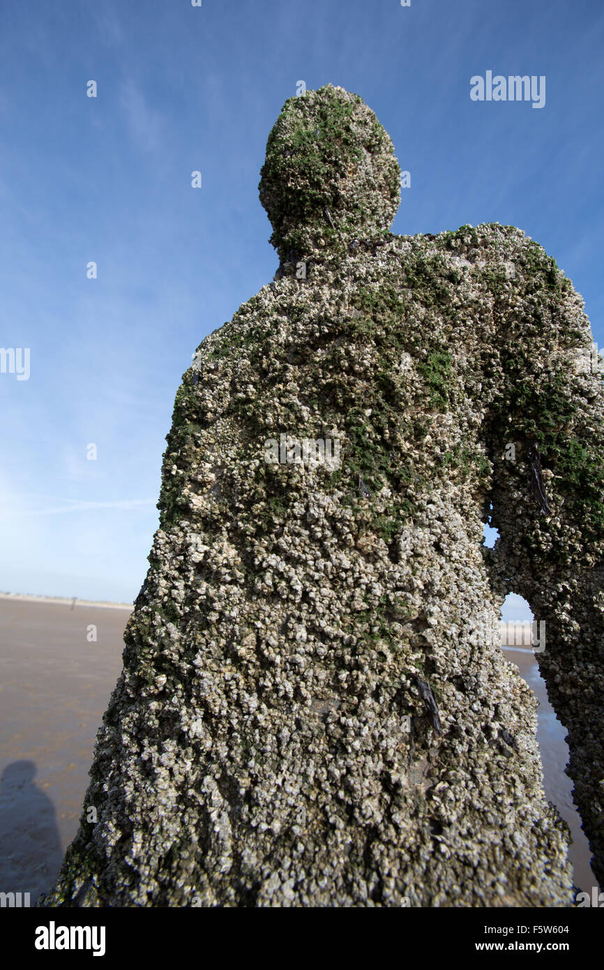 Crosby Beach, England. Picturesque view of the Antony Gormley, Iron Men